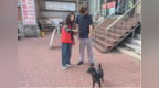 长春市绿园区春城街道、同心街道开展文明养犬宣传活动