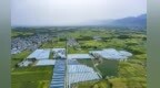 “田間”到“云端” 西安“菜籃子”提質增效