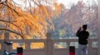 暖阳催彩叶 世界东湖初冬盛景已上线