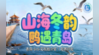 2025第二届青岛海鸥季“山海冬韵·鸥遇青岛——小小文旅推介官”竞赛评比活动正式启动