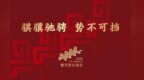 2026年马年春晚主题主标识发布