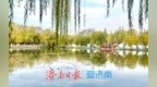 冬日限定：济南百花洲“金柳映湖”引客来