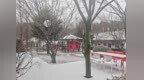 寧波又下雪了！明起大轉(zhuǎn)折