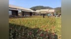花海露營正當時！余姚“春日經濟”別樣紅