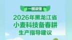 一图读懂2026年黑龙江省小麦科技备春耕生产指导建议