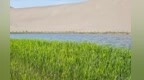 鸣沙山月牙泉绝色春天：春风渡大漠　彩墨染沙泉