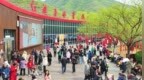 完美收官！红旗渠清明小长假人气爆棚，四月春光正好，等您来！
