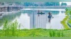 清理绿藻 打好“碧水保卫战”