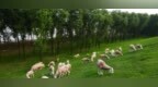 锁定这条有氧线，黄河春光醉人间
