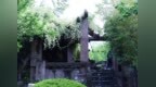 枣庄：以“公园+”绘就宜居幸福美画卷