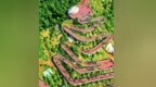 香山云道 | 幽径婉转翠云廊，满城风华新香洲