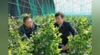 孙成坤深入鸡冠区调研