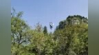 数智“耕耘”正当时，春来信号满山间：济南联通南部山区无线网频率重耕纪实
