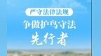 黑龙江省第45届爱鸟周｜守护飞羽精灵 共绘生态画卷