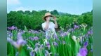 母亲节去哪？逃离喧嚣 在萧山来场赏花露营“微度假”