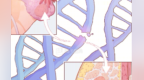 容易被乳腺癌找上的女性　有什么特点