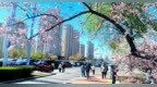奋进“十五五” 阔步向未来 | 大庆“春日经济”热力十足