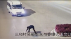 禁考一年！两考生科目三开考前在路上做记号被安徽警方查处