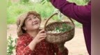 限定美食错过等一年　甘肃华亭等你来开“槐”畅吃