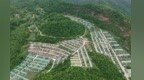 林麝马麝“生金”　甘肃庄浪生态富民“双赢”