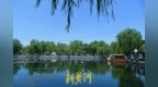 蓝天白云映泉池 济南百花洲绘就绝美夏日画卷