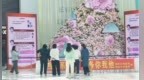 长春市绿园区档案局、档案馆联合开展主题宣传活动