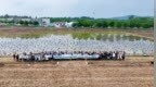 田间上演“新旧农耕对决” 浮山村校地携手共探乡村振兴路