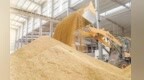 江西“双抢”有序推进：早稻收获进度超40% 晚稻播栽进度超20%
