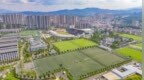 定南县：绿茵场上运动热（图）