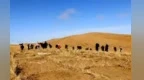 筑牢生态安全屏障　看甘肃临泽有“沙”绝招
