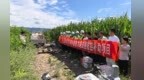 无人机飞防当田管　甘肃泾川秋粮丰收有“护航员”