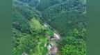 上饶市广信区征集林业领域涉黑涉恶线索 发现滥伐林木、非法猎捕等请举报