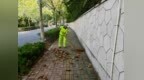 青岛崂山：绣花功夫“绣”出城市“颜值” 山海盛装迎国庆