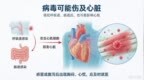 世界心脏日｜熬夜遇上腹泻，当心病毒性心肌炎找上门
