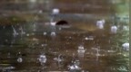 国庆假期两股冷空气接连来袭，西南地区阴雨持续