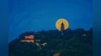 净土祖庭·百年传灯书画征稿：纪念灵岩山肇建百年，缅怀印光大师、明学长老