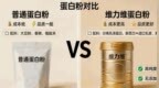 日常运动后喝什么蛋白粉？十款乳清产品横向评测