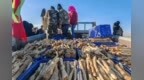 沙海肉苁蓉入佳酿　甘肃金塔掘金养生新赛道