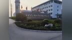 鲁企观察丨东岳硅材业绩复苏：前三季净利同比预增近200倍