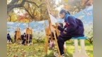 一城秋色　万般风情
