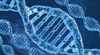 DNA读取复制研究获进展，有望找到遗传病的治疗方案