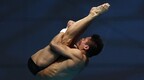 这就是梦之队！中国包揽世锦赛全部跳水项目金牌
