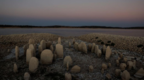 西班牙遇历史性干旱 7000年前“巨石阵”重见天日