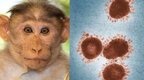 美媒：美国抗击新冠猴痘接连失败 未来将难以遏制新传染病