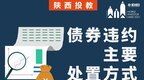 陕西投教：债券违约主要处置方式