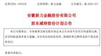 11月暴涨近50%！新力金融二股东海螺水泥再提减持
