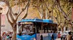 12月23日起 杭州部分公交線路暫停運營