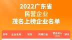 电白3家企业上榜 “2022广东省民营企业100强”榜单出炉