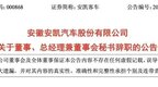 刘勇辞去安徽一上市公司董事、总经理兼董事会秘书职务！