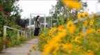 武汉这条“最美乡路”串起一条旅游经济带